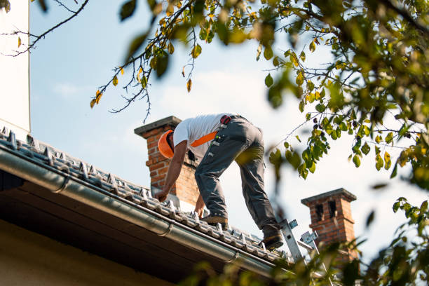 Best Roof Leak Repair  in Reading, MI