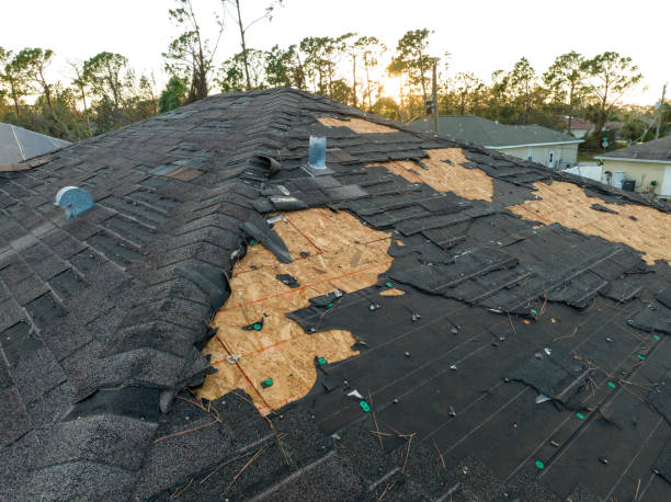 Best Roof Insulation Installation  in Reading, MI
